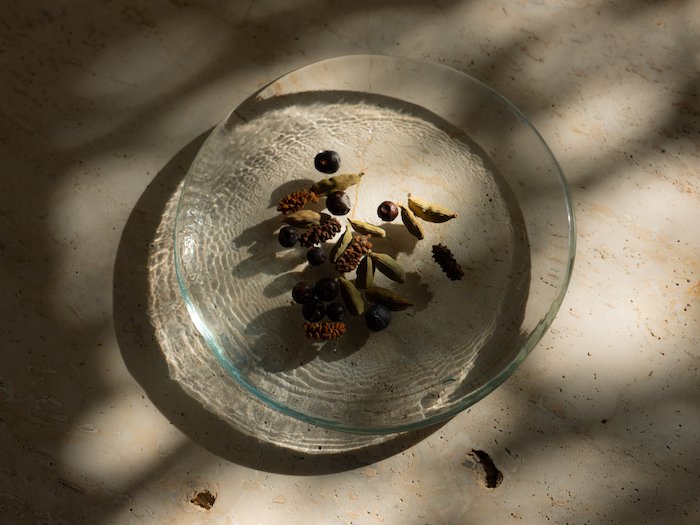 「幻のキノコ」霊芝を採用した、まったく新しい蒸留酒「ウェルネスジン」とは？｜Pen Online